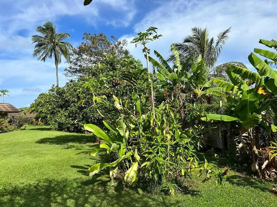 Keiki Honu Kauai Princeville 2Br2Ba King+Queen Bed 公寓